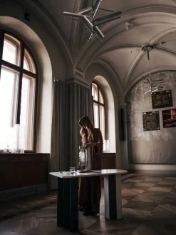 hiilihapotuslaite Carbonator III, polished steel*Aarke Sale