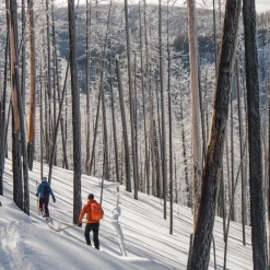 Hot Altai liukulumikenkä Hok 145 cm + Pivot siteet
