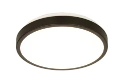 New Aneta Lighting plafondi Anillo LED valkoinen