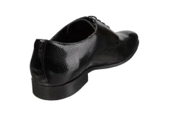 pukukengät Vernice Gemma-Scaligera*Benson Discount