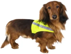 Gear BF Gear huomioliivi S*Best Friend Best