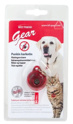 Clearance Best Friend Gear BF Gear Punkinkarkotin