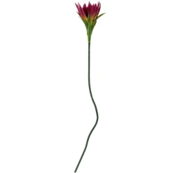 New Bloomingville koristeoksa Lily violetti