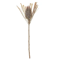 Best Bloomingville koristeoksa Palmflower ruskea