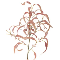 Clearance Bloomingville koristeoksa Eucalyptus punainen