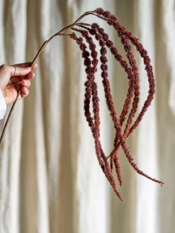 koristeoksa Foxtail punaruskea*Bloomingville Sale