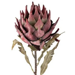 koristeoksa Protea violetti*Bloomingville Outlet