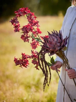 koristeoksa Protea violetti*Bloomingville Outlet
