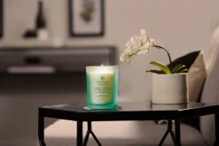 Online Chesapeake Bay tuoksukynttilä Balance & Harmony M