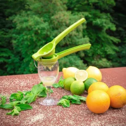 limepuristin Limetta*Cilio Best