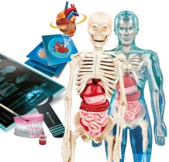 tiedesetti Anatomia Super*Clementoni New