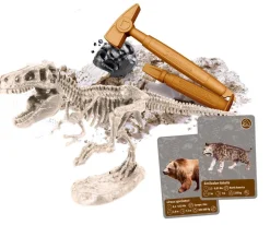 tiedesetti History Of Life On Earth*Clementoni Discount