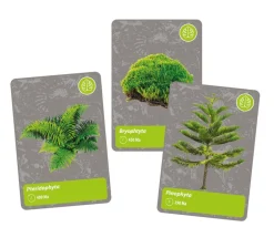 tiedesetti History Of Life On Earth*Clementoni Discount