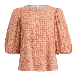 pusero Charlotta*Create New