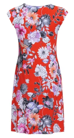 trikoomekko Asterina*Create Best