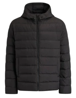 Discount Create untuvatakki Palmer