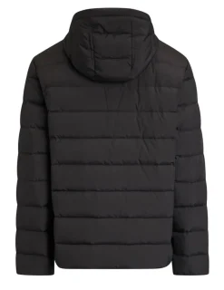 Discount Create untuvatakki Palmer