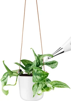 Amppeli 15 cm*Eva Solo New