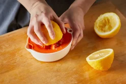 Functional Form Sitruspuristin*Fiskars