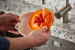 Functional Form Sitruspuristin*Fiskars