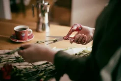 sakset FXI Taika 21 cm punainen*Fiskars