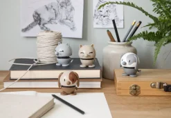 Cat Latte*Hoptimist Sale