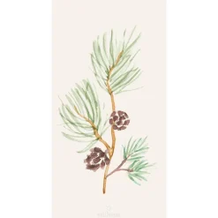 lautasliina männynoksa kävyillä 16 kpl/pkt*IB Laursen Clearance