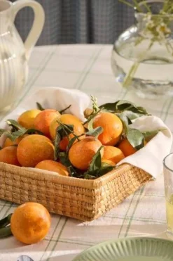 Hot IB Laursen säilytyskori neliö