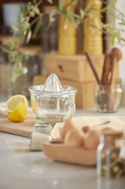 sitruspuristin*IB Laursen Best