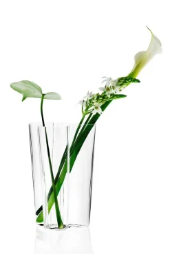 Aalto Maljakko 251 mm kirkas*Iittala Hot