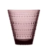 Hot Iittala Kastehelmi juomalasi 30 cl 2 kpl kanerva