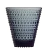 Kastehelmi juomalasi 30 cl 2 kpl tummanharmaa*Iittala Outlet