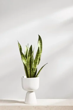 Nappula Ruukku 230x155 mm valkea*Iittala Discount