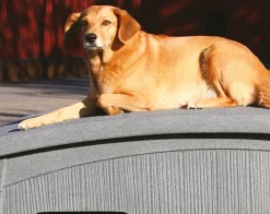 Jämpti lämpöeristetty koirankoppi harmaa*Ju00e4mpti Sale