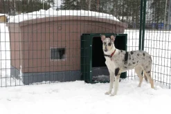 Outlet Ju00e4mpti Jämpti tunneli sinkitty