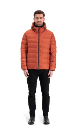 untuvatakki Ruska*Joutsen