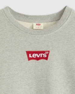 college Relaxed Graphic Crew*Levi's New