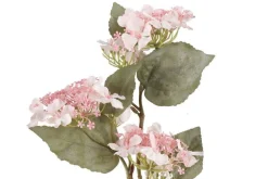 hortensia oksa valkoinen*4Living Best