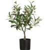 Best 4Living oliivipuu ruukussa 60 cm