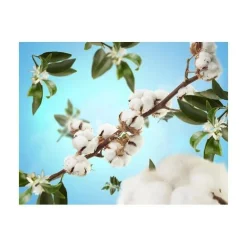 Clearance Maison Berger huonetuoksu Cotton Caress 100 ml