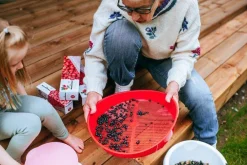 Marjukka Marjanpuhdistaja kaatoreunoilla* Discount