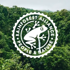 Hot Nordqvist lehtitee Sulosydän