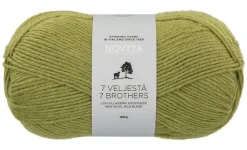 Outlet Novita 7 Veljestä lanka 100 g 330 artisokka