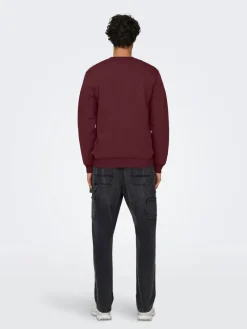 Best Only & Sons college Onsceres