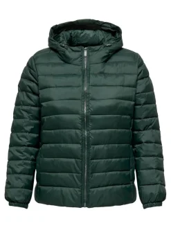 takki Cartahoe Hood*Only Carmakoma