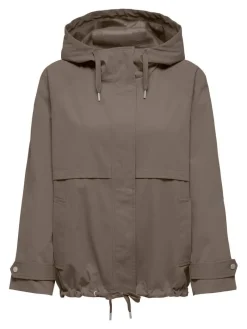 Sale Only takki Onlorchid