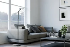 Sale Sessak lattiavalaisin Juniper musta