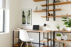 Hot Sessak seinävalaisin Ivy musta