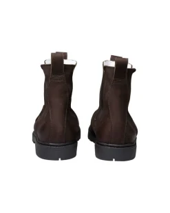 chelseat Klas Dark Brown*Shepherd of Sweden Best