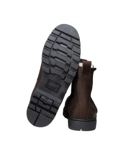 chelseat Klas Dark Brown*Shepherd of Sweden Best